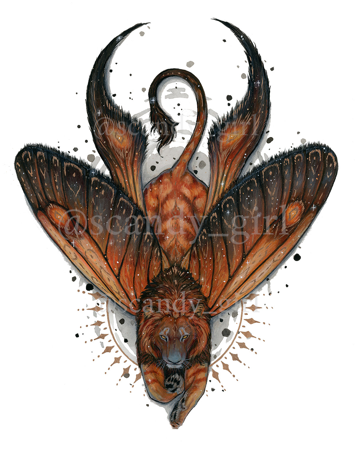 Lion + Long Tailed Burnet Moth PRINT