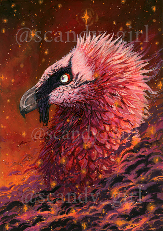 Bearded Vulture PRINT