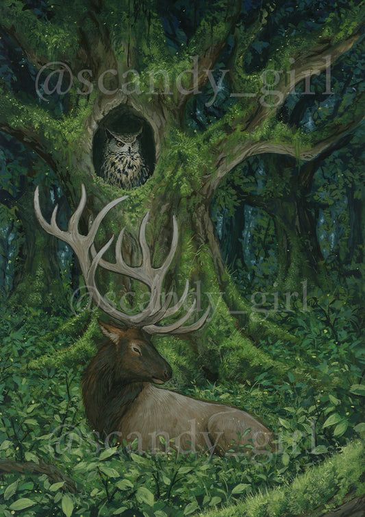Deer and Owl PRINT