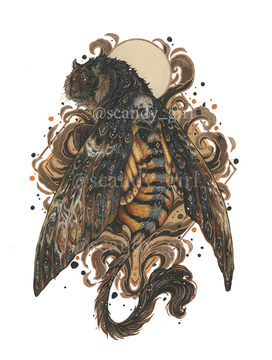 Tiger + Death's Head Hawk Moth PRINT