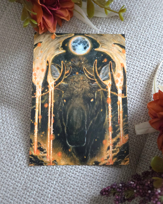 Star holder Postcard