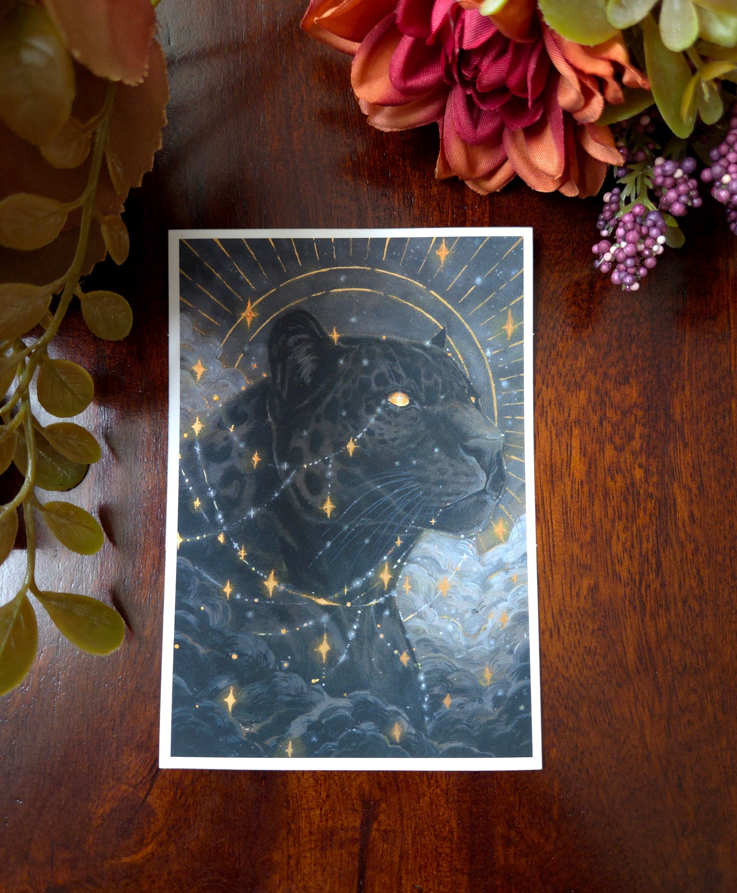 Starglazer BIG Sticker