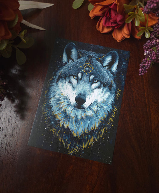 In the Darkness Wolf Postcard