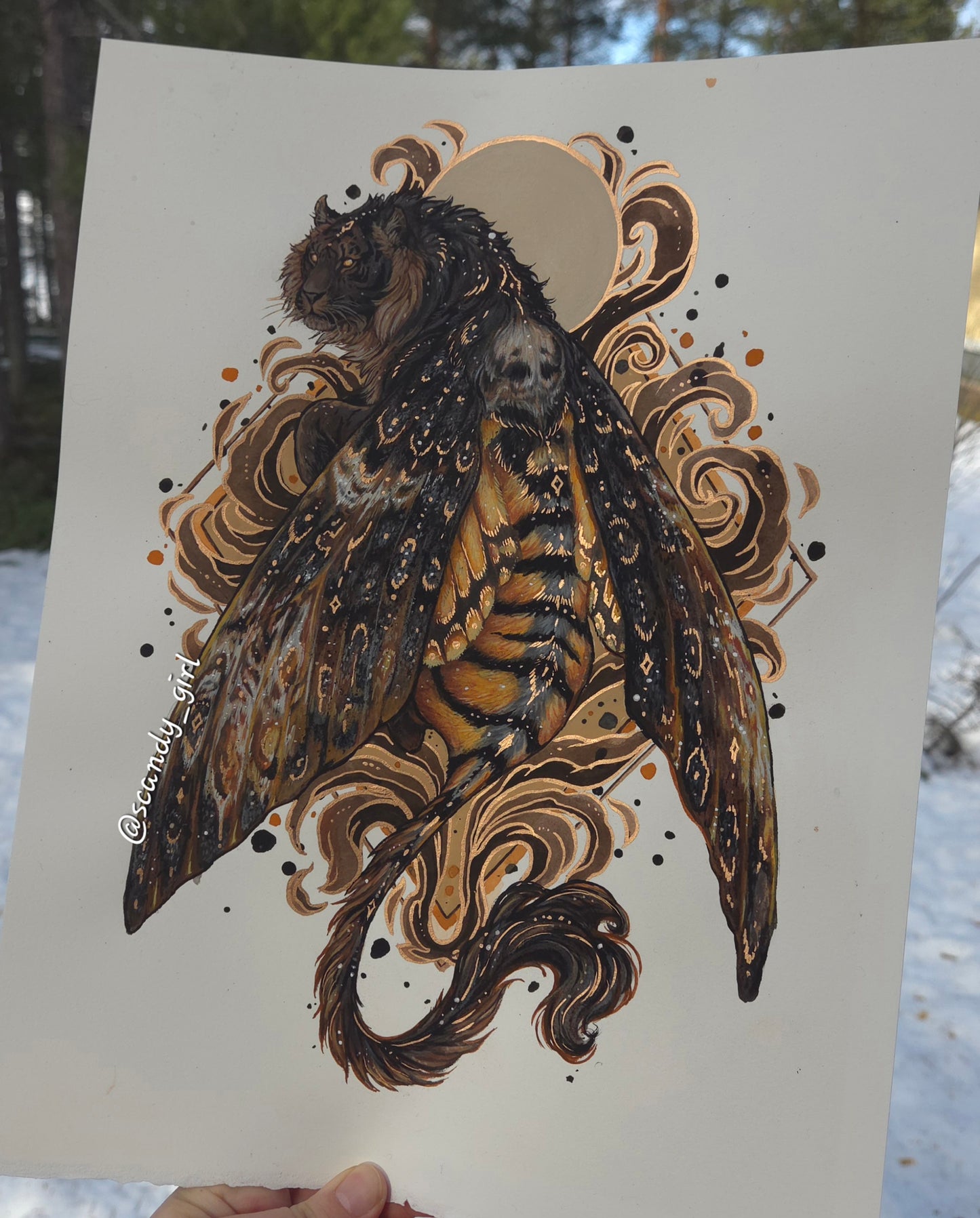 Tiger + Death's Head Hawk Moth ORIGINAL