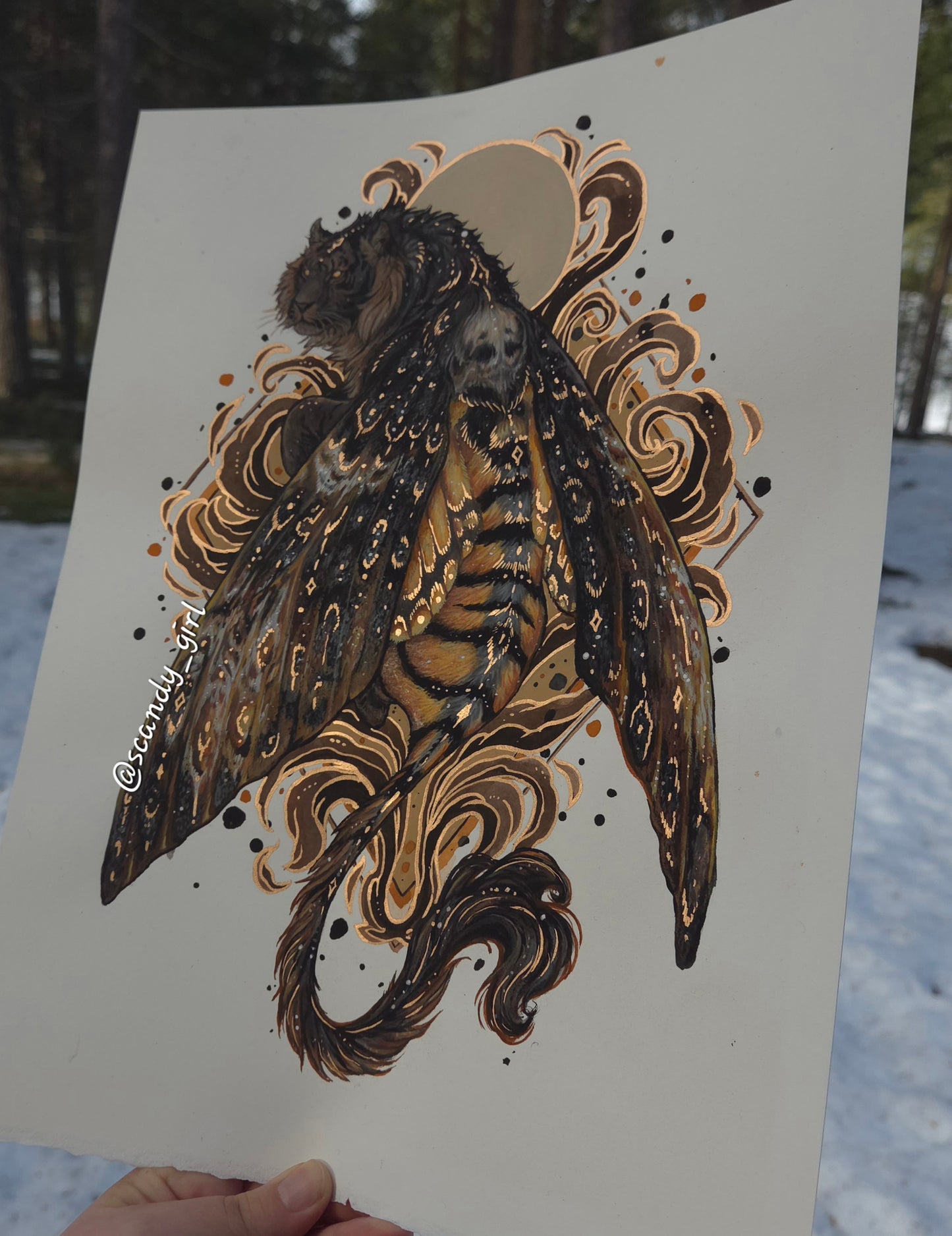 Tiger + Death's Head Hawk Moth ORIGINAL