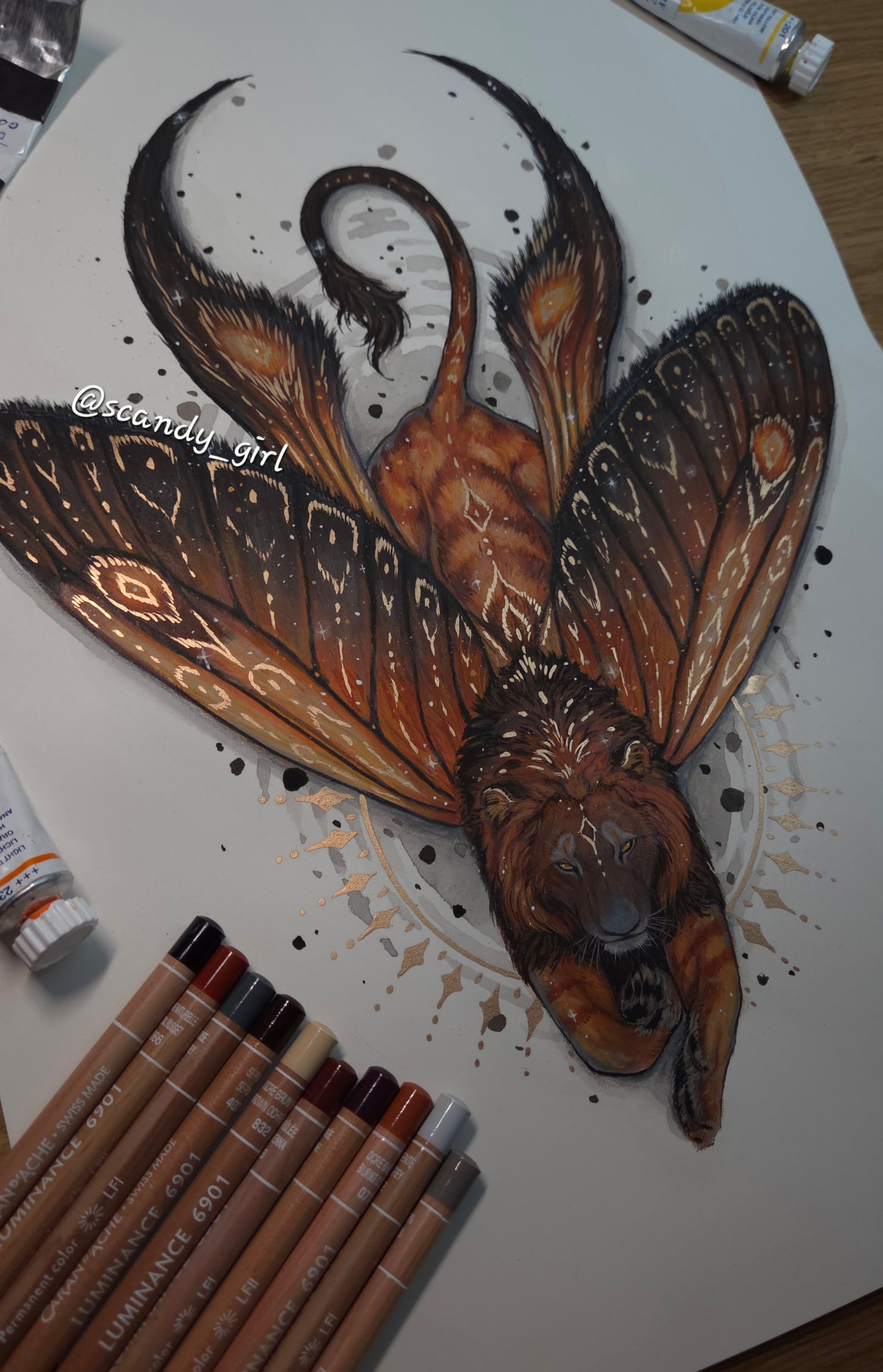 Lion + Long Tailed Burnet Moth ORIGINAL
