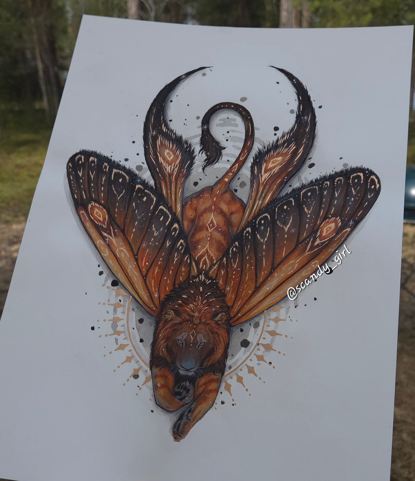 Lion + Long Tailed Burnet Moth ORIGINAL